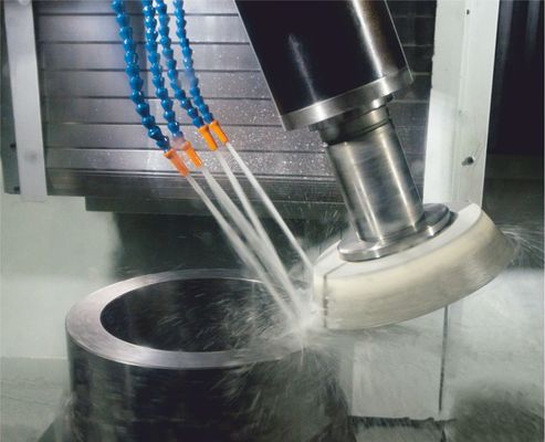 Automatische senkrechte Schleifmaschine praktisch korrosionsbeständig Z860